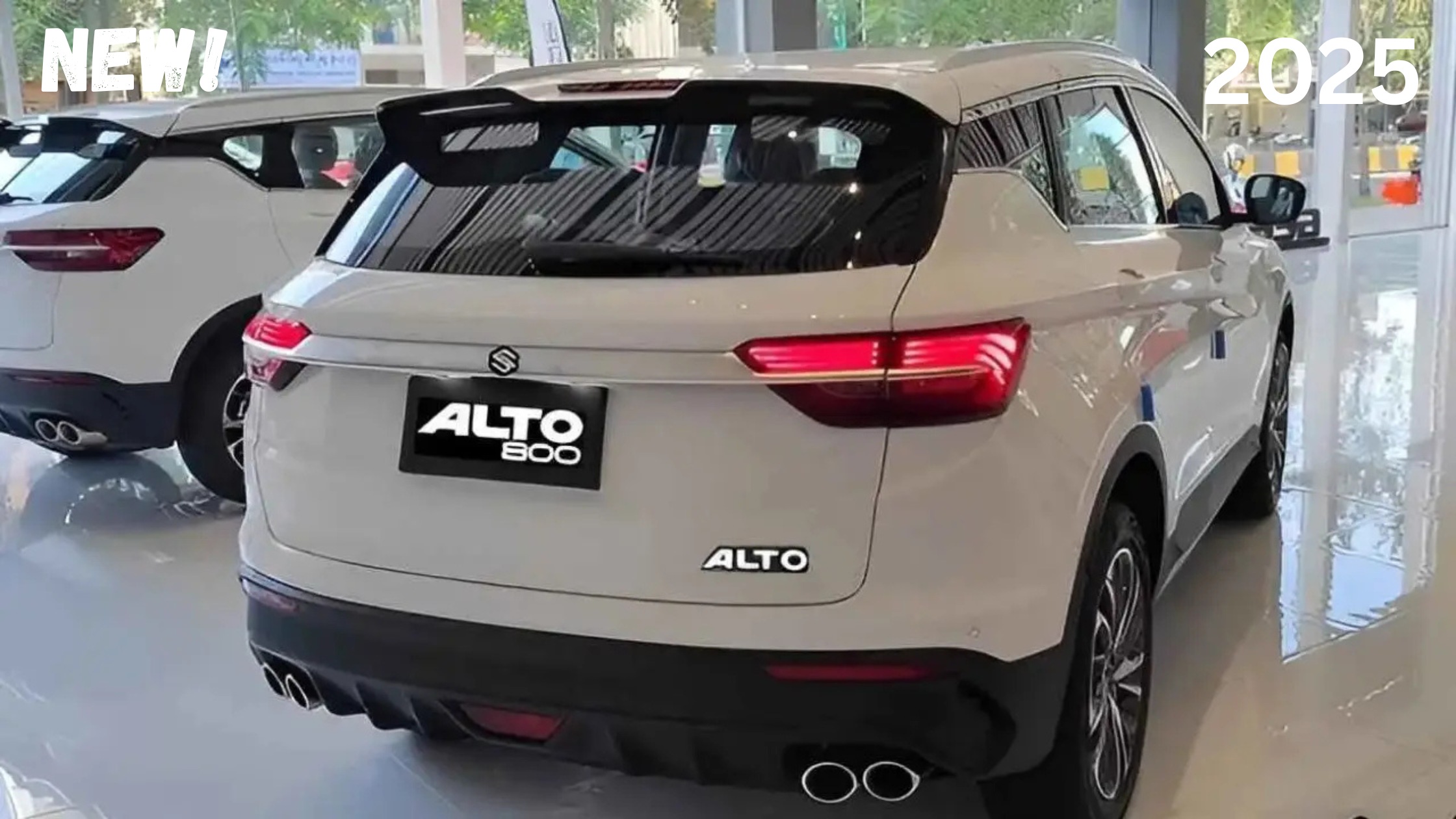 Alto 800